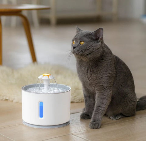 Fonte de Água para Gatos  - WaterCats